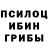 Псилоцибиновые грибы GOLDEN TEACHER MrHOMYAK83
