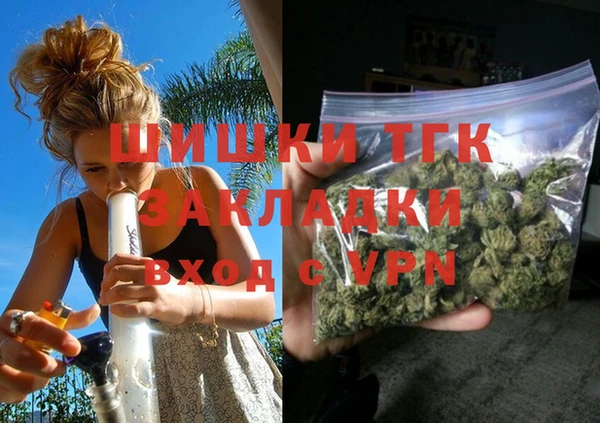 гидропоника Новозыбков