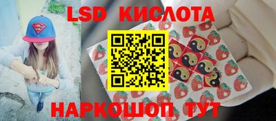 2c-b Гатчина