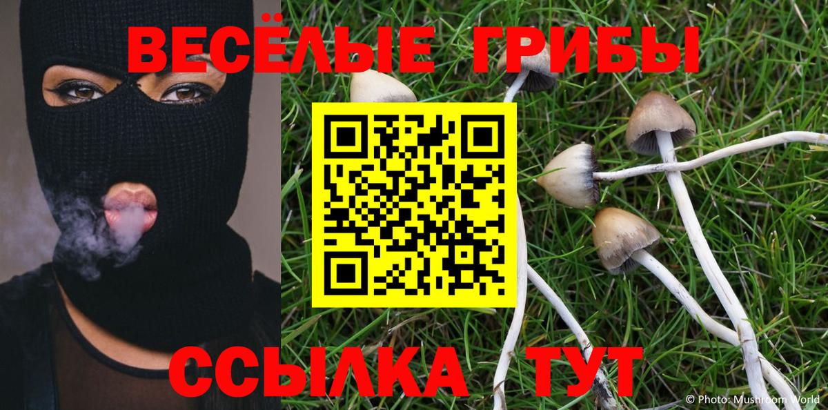 Галлюциногенные грибы прущие грибы Полысаево