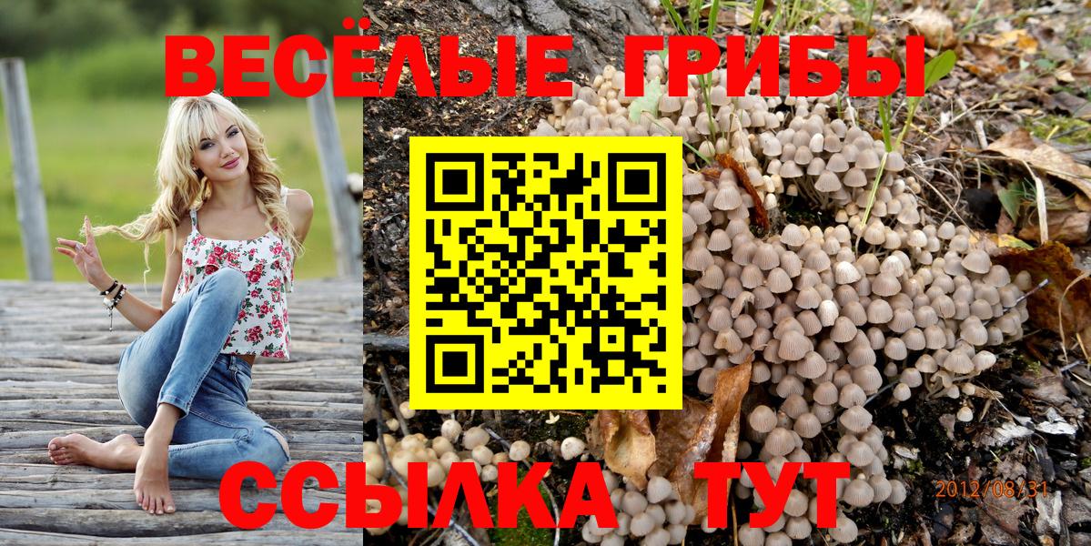 Псилоцибиновые грибы прущие грибы  Вход с VPN  Полысаево 